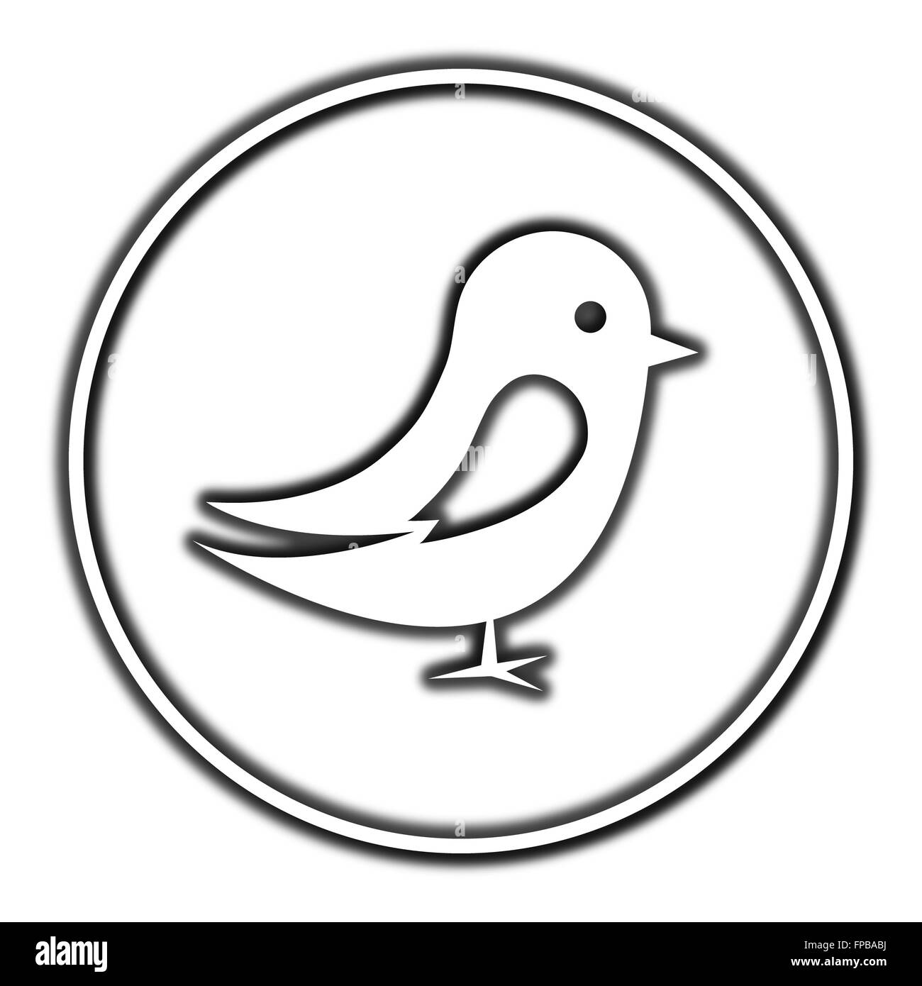 Bird icon. Internet button on white background Stock Photo - Alamy