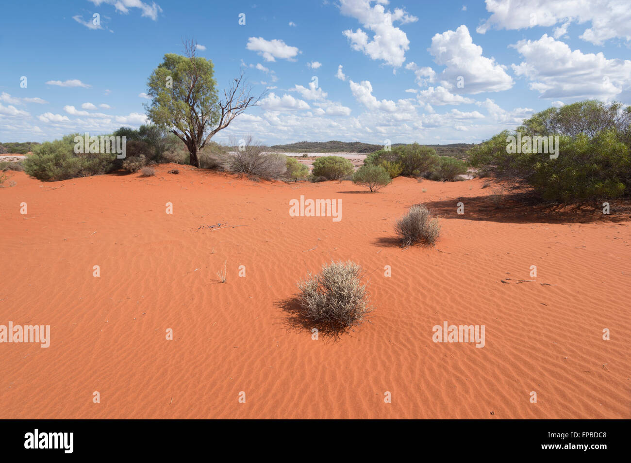 Outback, Western Australia, Australia Stock Photo Alamy