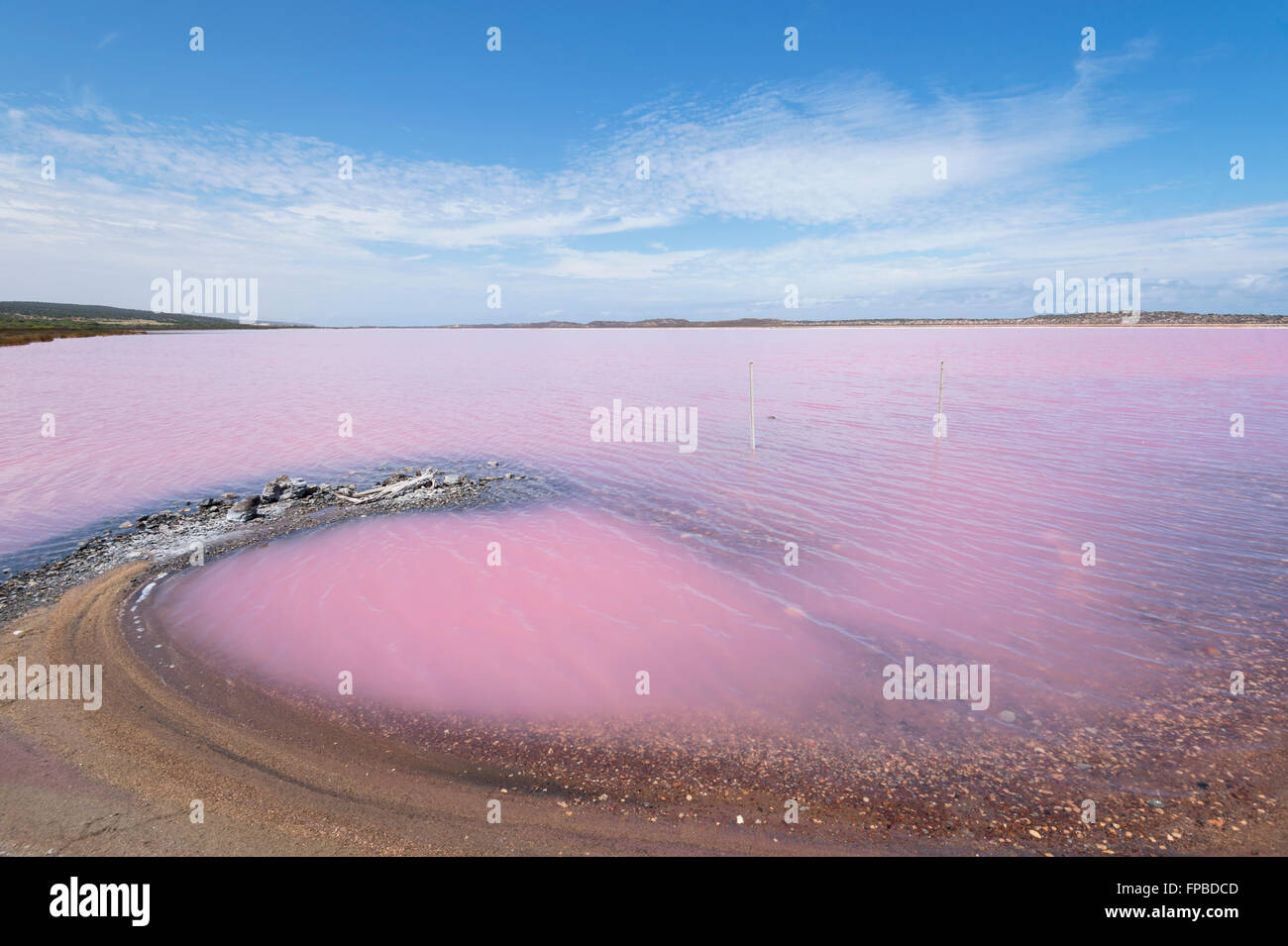 Hutt Lagoon, Pink Lake containing Beta-carotene, Western Australia, WA, Australia Stock Photo