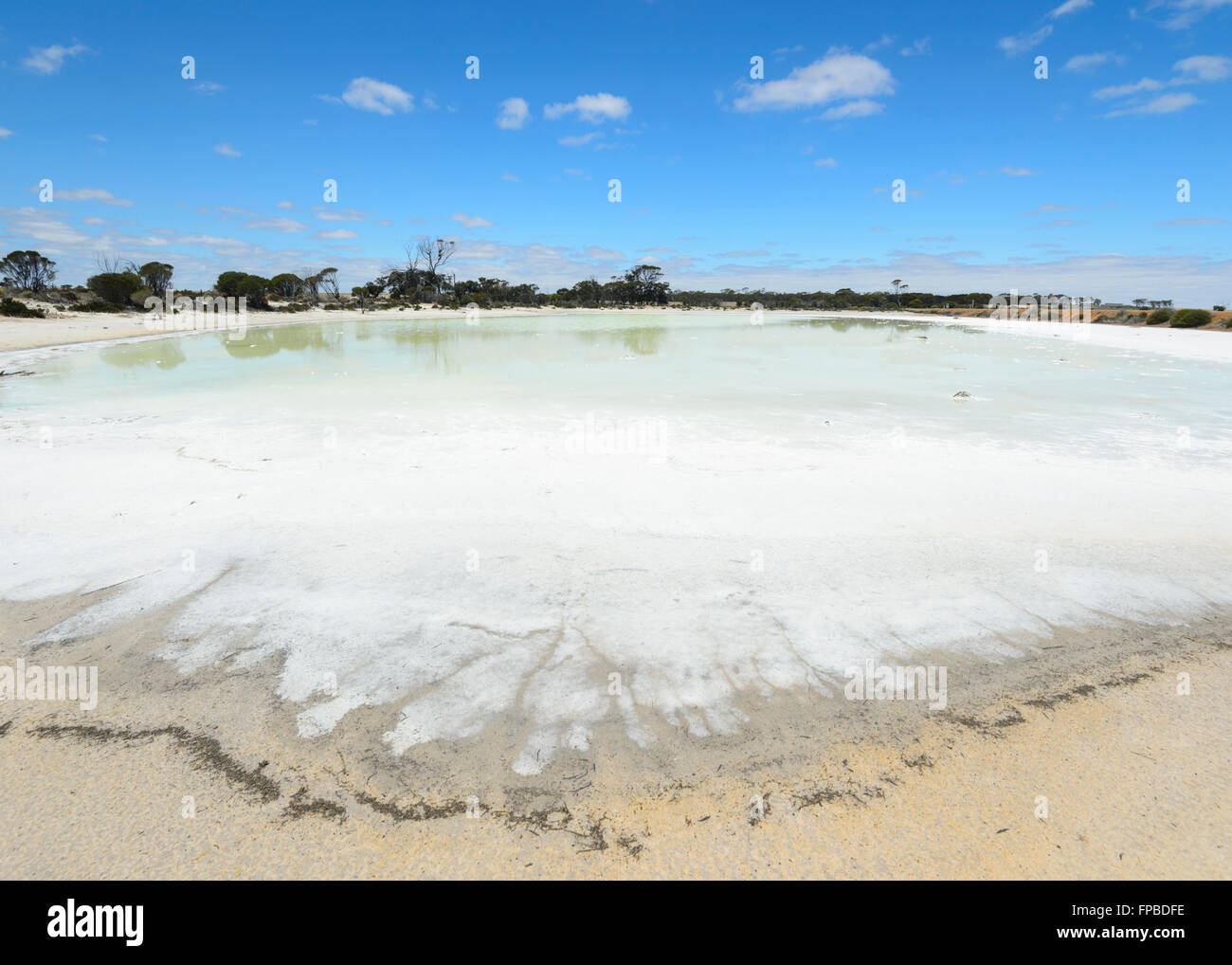 Green Lake near Lake Grace, Western Australia, WA, Australia Stock Photo