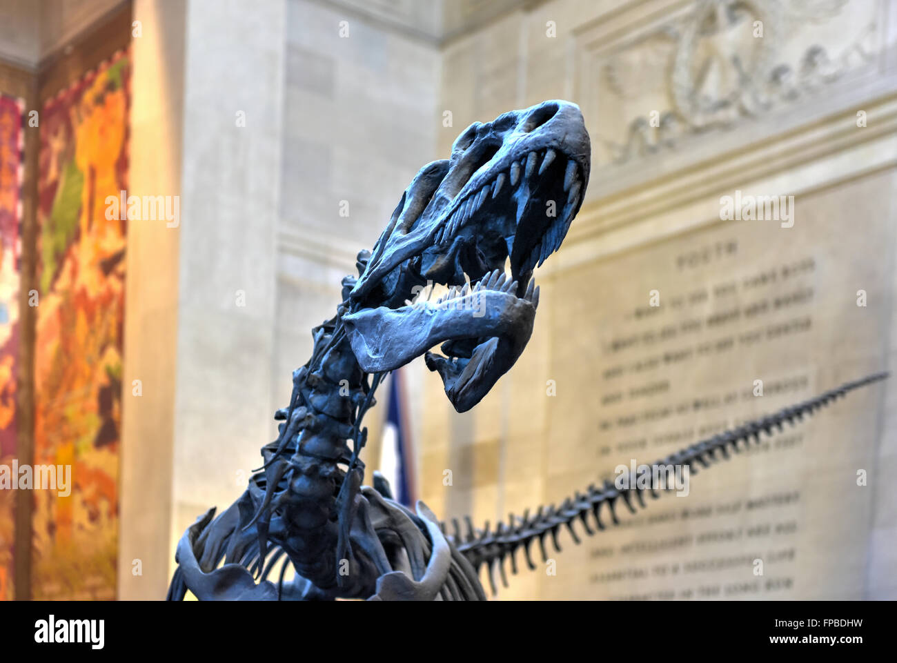 New York City - January 31, 2016: Allosaurus in the entrance hall of the American Museum of Natural History in Manhattan. Stock Photo