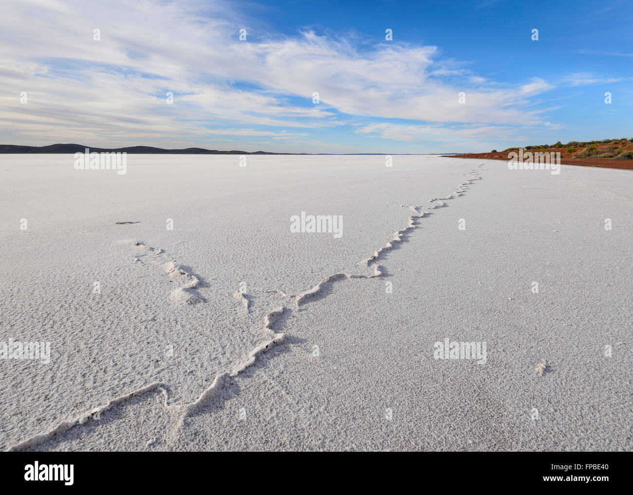 Lake Gairdner, South Australia, SA, Australia Stock Photo