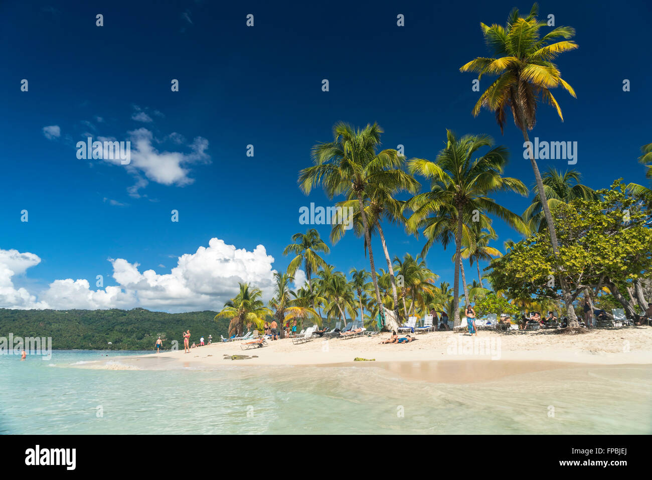 palm fringed sandy beach of Cayo Levantado, Samana,  Dominican Republic, Carribean, America, Stock Photo