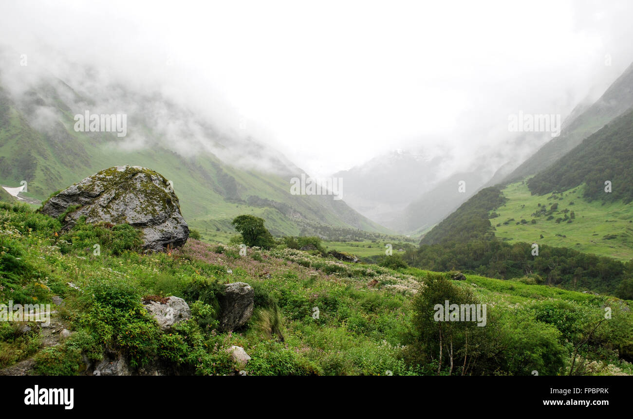 Valley of Flowers National Park is an Indian national park, located in