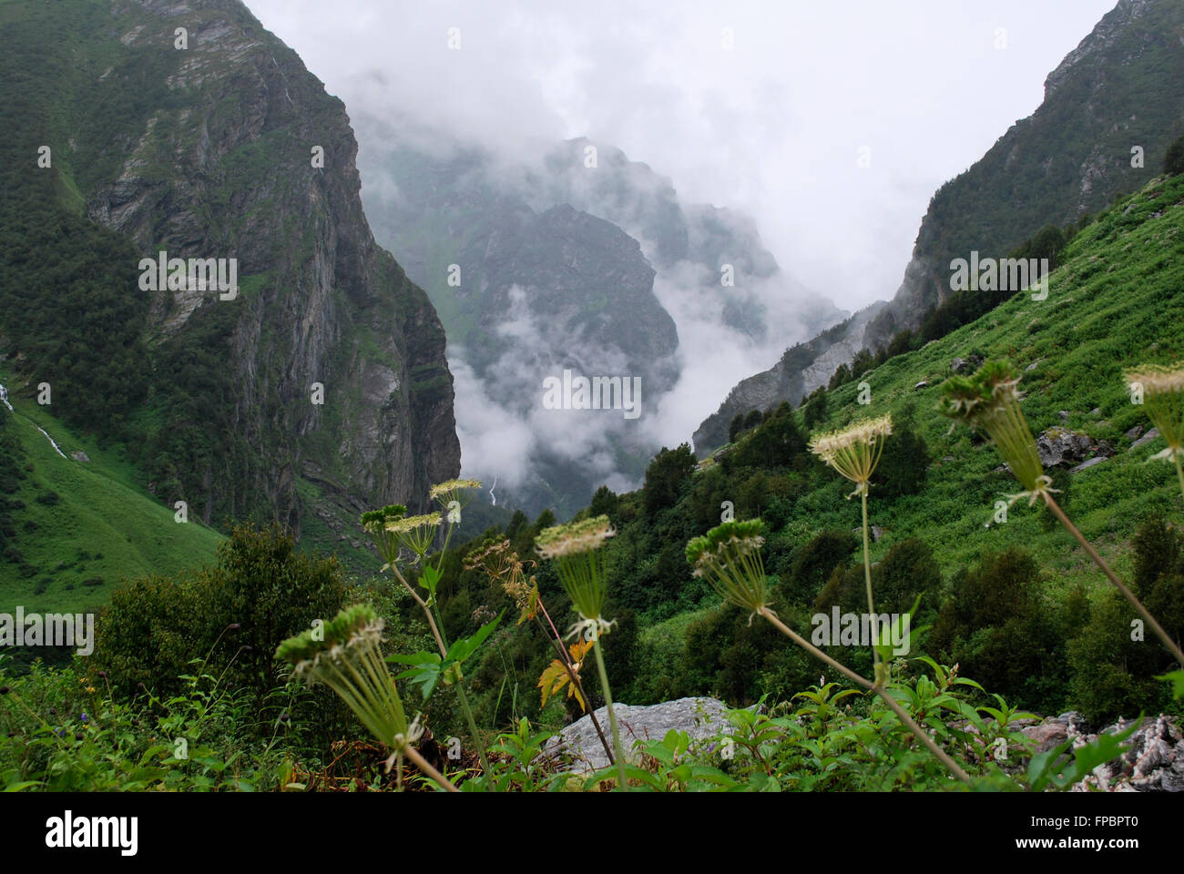 Valley of Flowers National Park is an Indian national park, located in