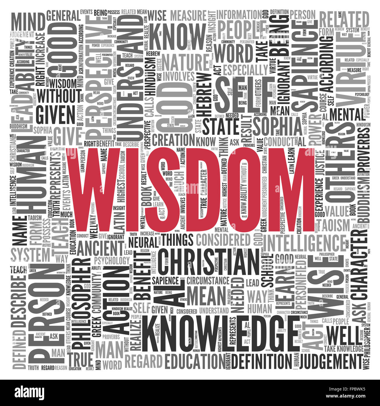 Large Red Wisdom Text With Other Related Words In Gray In Word Tag