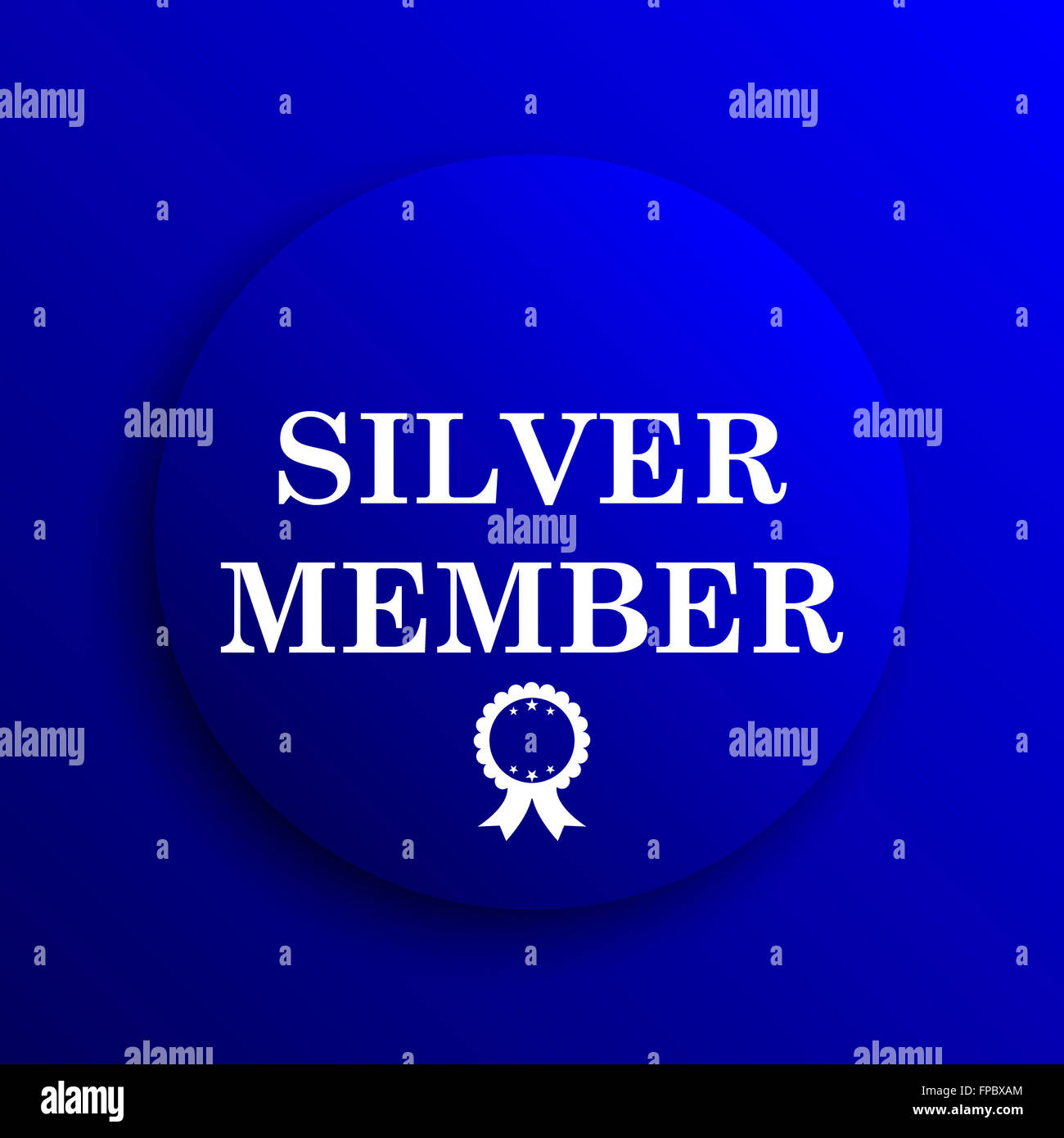 Silver member icon. Internet button on blue background Stock Photo - Alamy