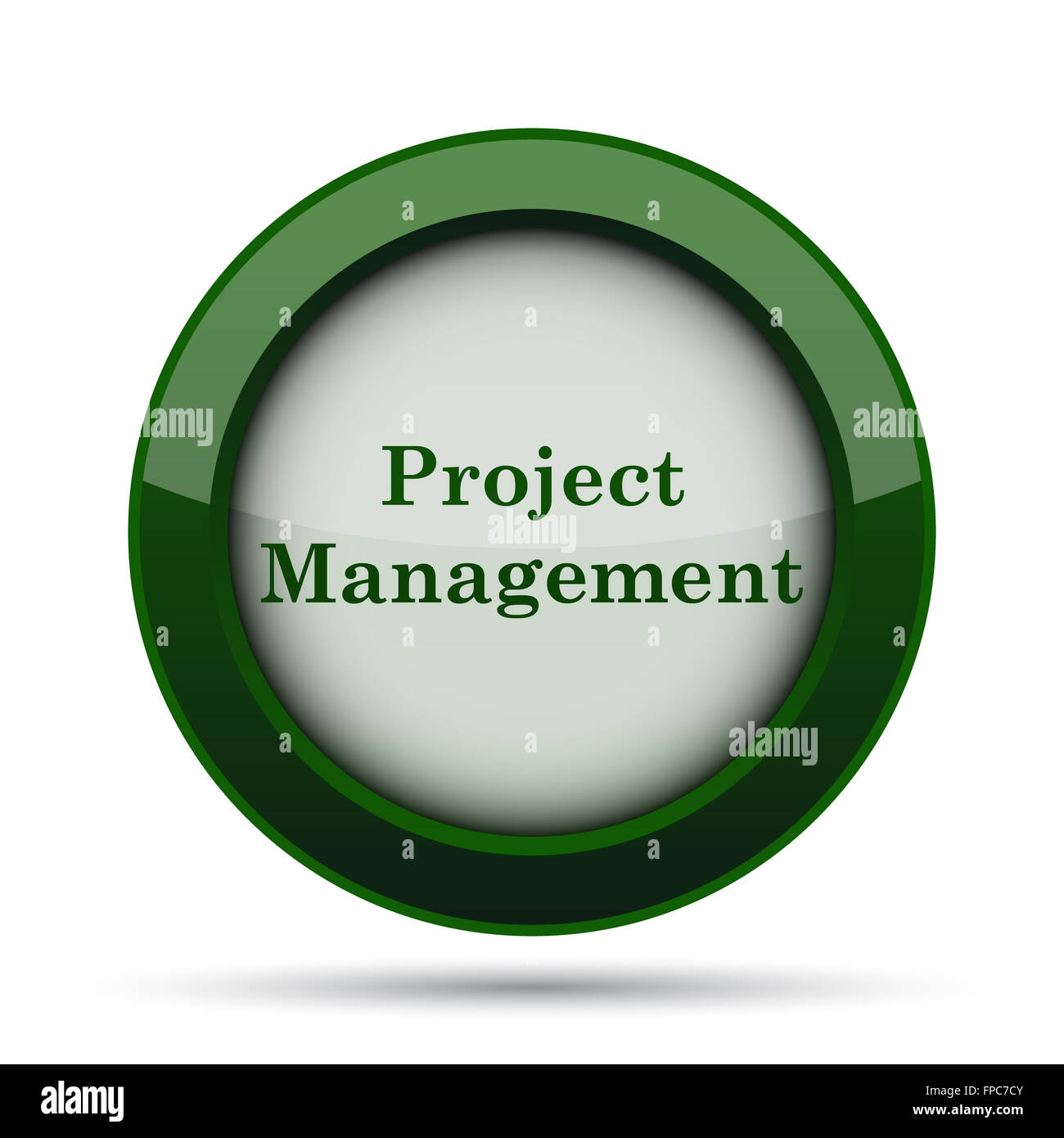 Project management icon. Internet button on white background Stock ...