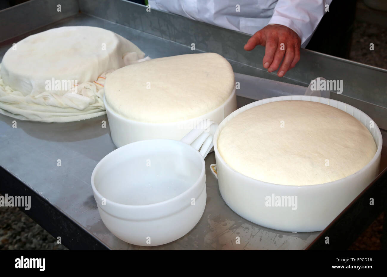 genuine cheese just made in the old dairy in a mountain hut Stock Photo
