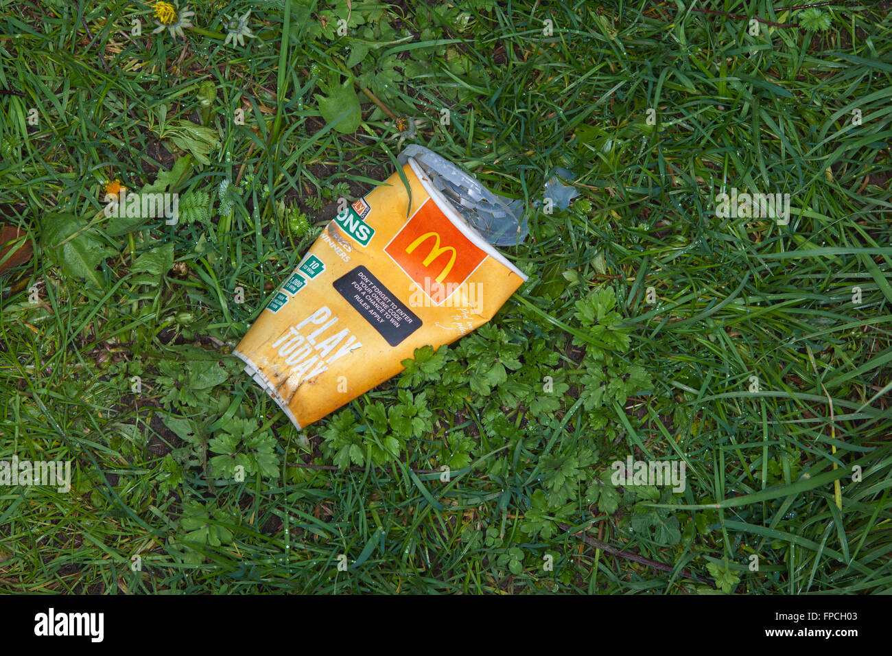Squashed Container Roadside rubbish, McDonalds drink container, squashed adn left in the ...