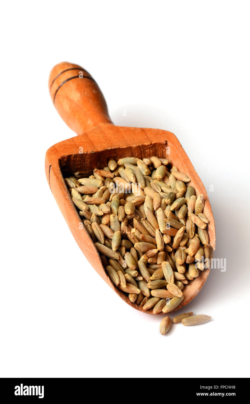 Uncooked Rye Uncooked rye grain seeds close up shot Stock Photo - Alamy