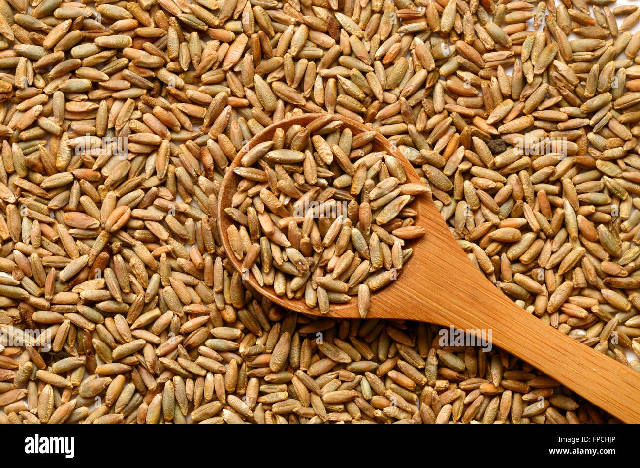 Uncooked Rye Uncooked rye grain seeds close up shot Stock Photo - Alamy