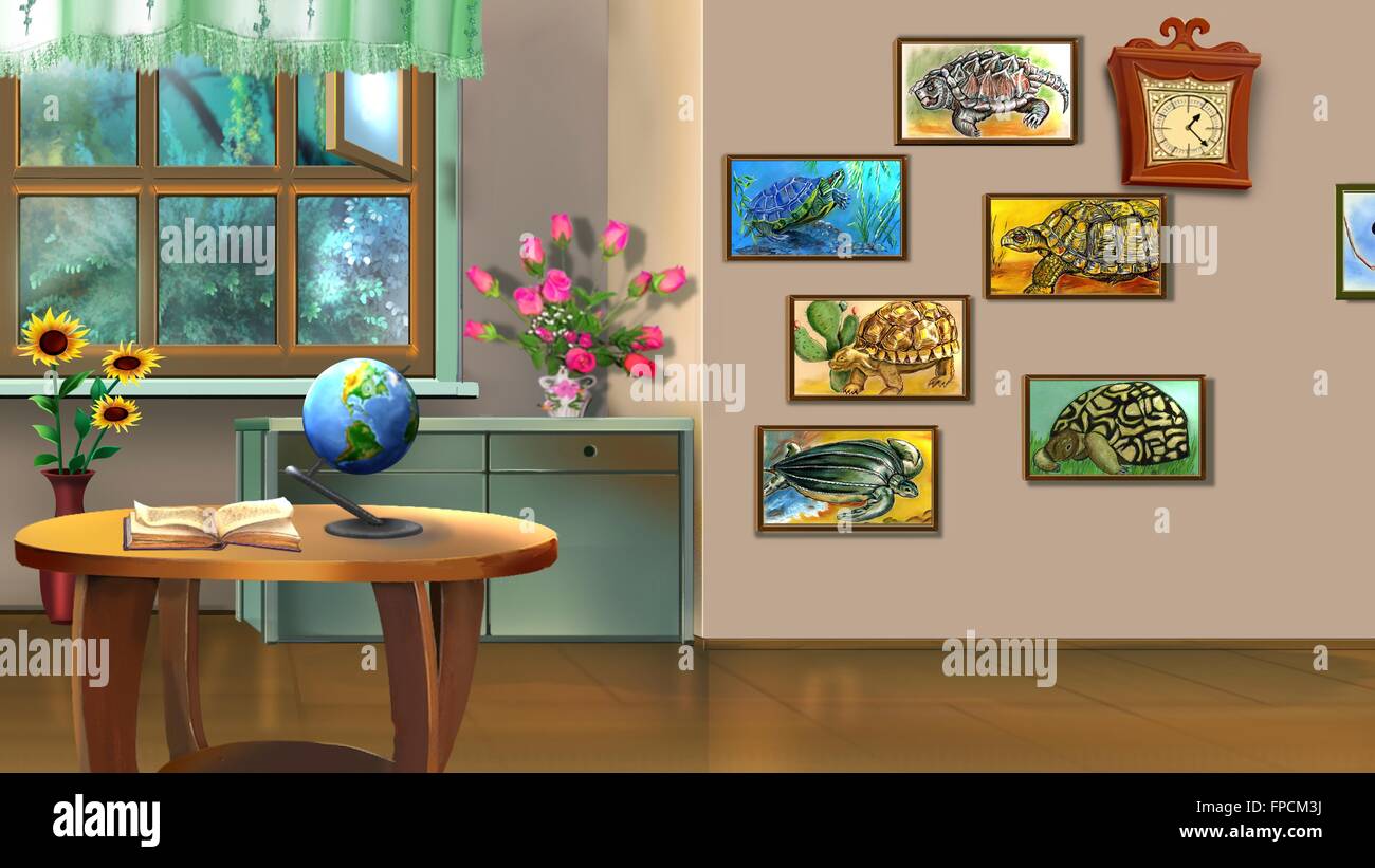Room Interior with Turtle Pictures Stock Photo - Alamy