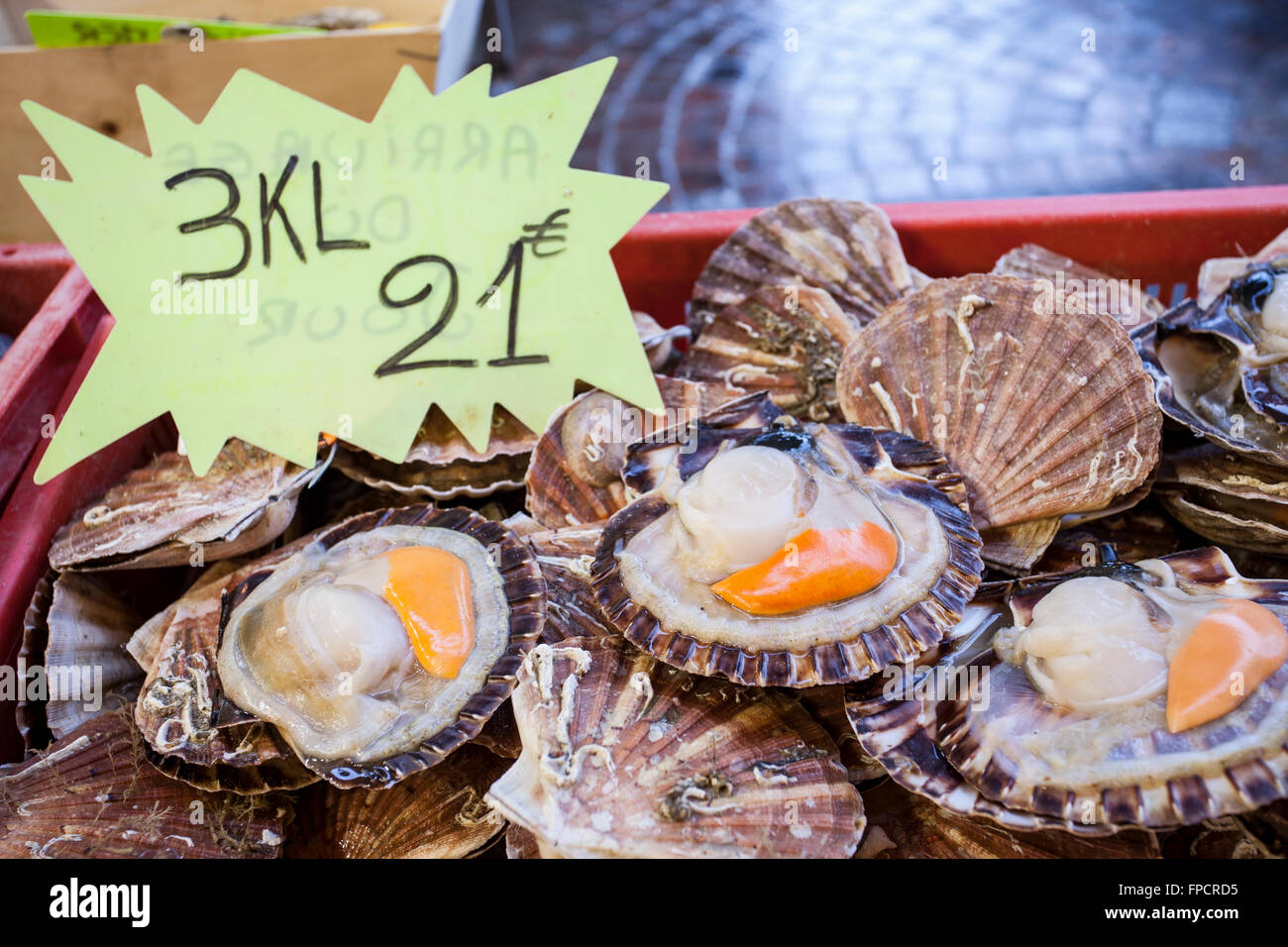 Seafood for sale at the seafood market in Europe Stock Photo Alamy
