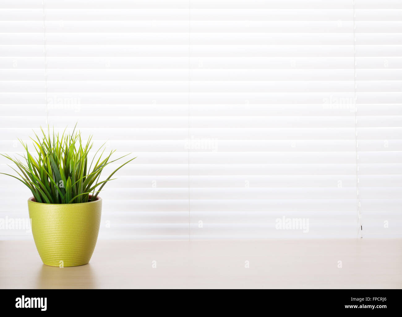 Office workplace with potted plant on wood desk table in front of window with blinds Stock Photo