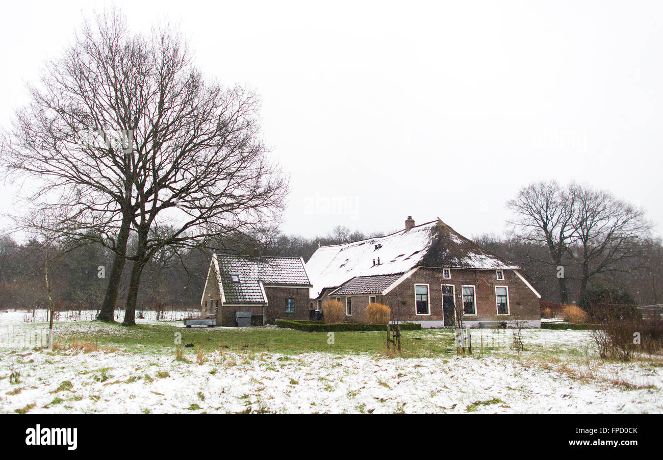 farmhouse in the Netherlands Stock Photo Alamy