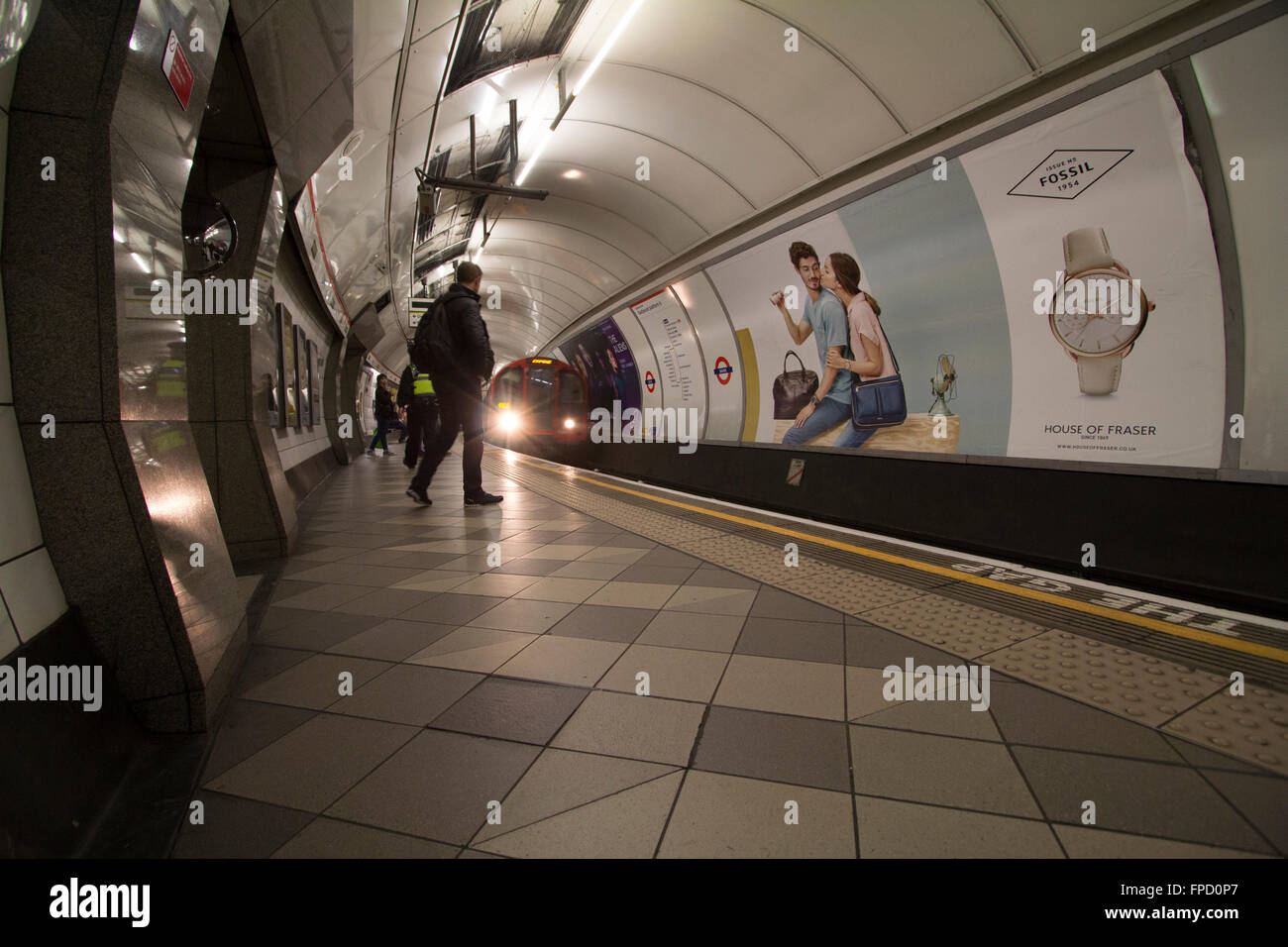 house of fraser fossil