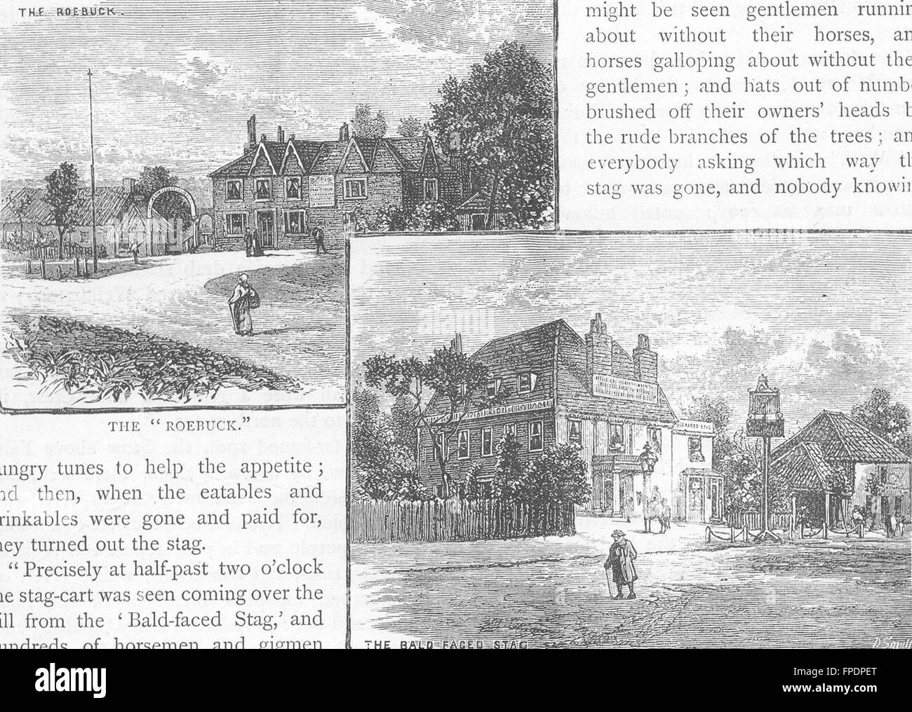 EPPING FOREST: Roebuck; Bald-faced Stag pubs. Essex, antique print 1888 Stock Photo