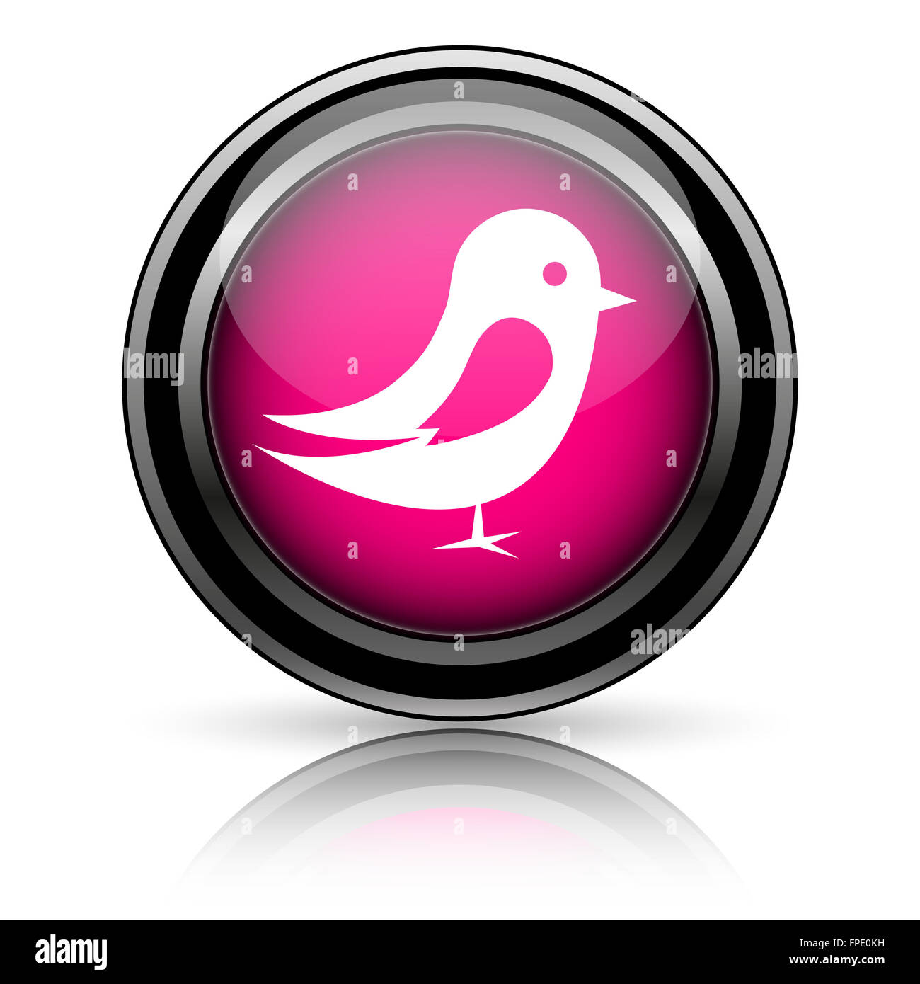 Bird icon. Internet button on white background Stock Photo - Alamy