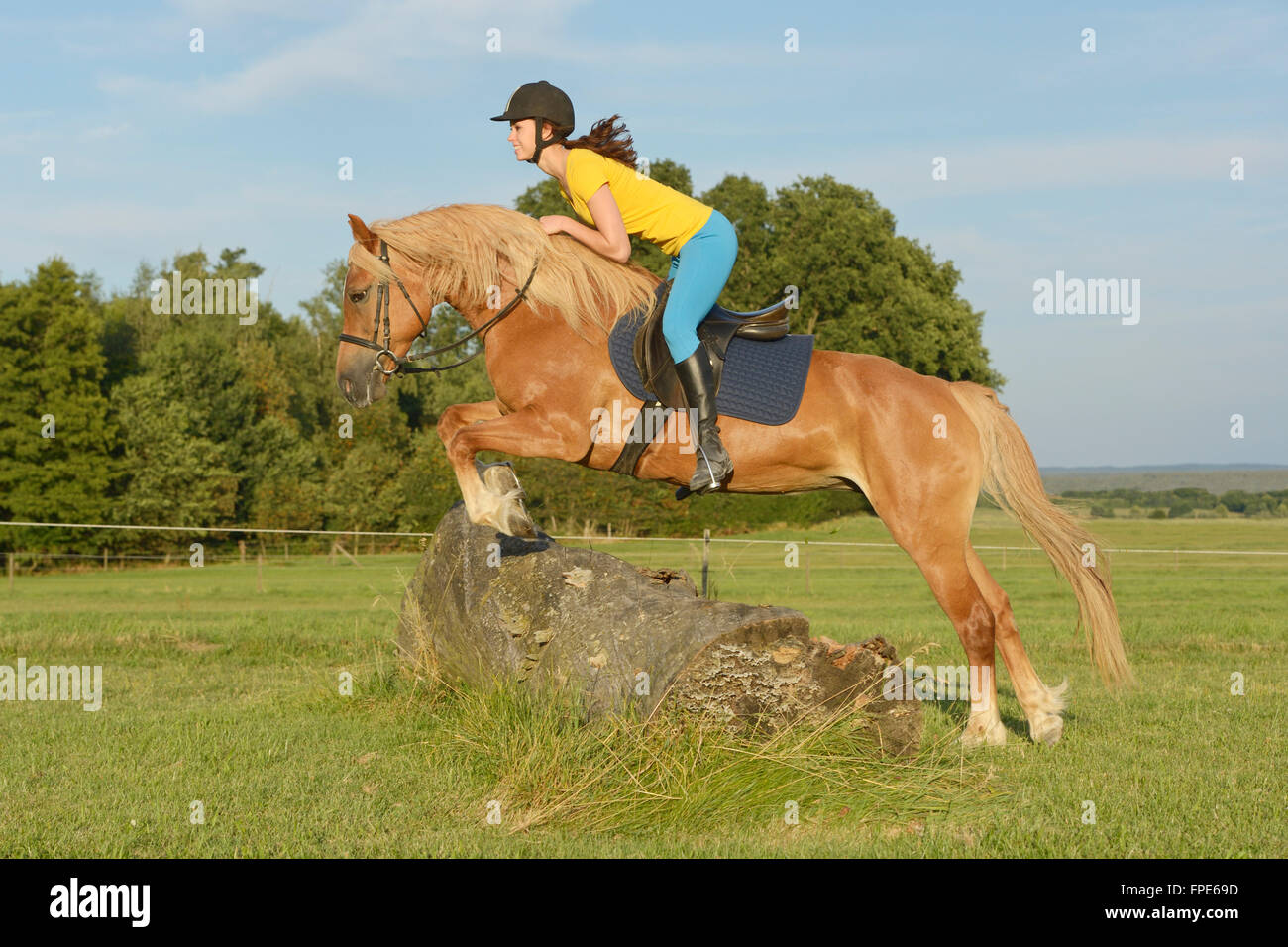 Horse Jumping Stock Photos & Horse Jumping Stock Images Alamy