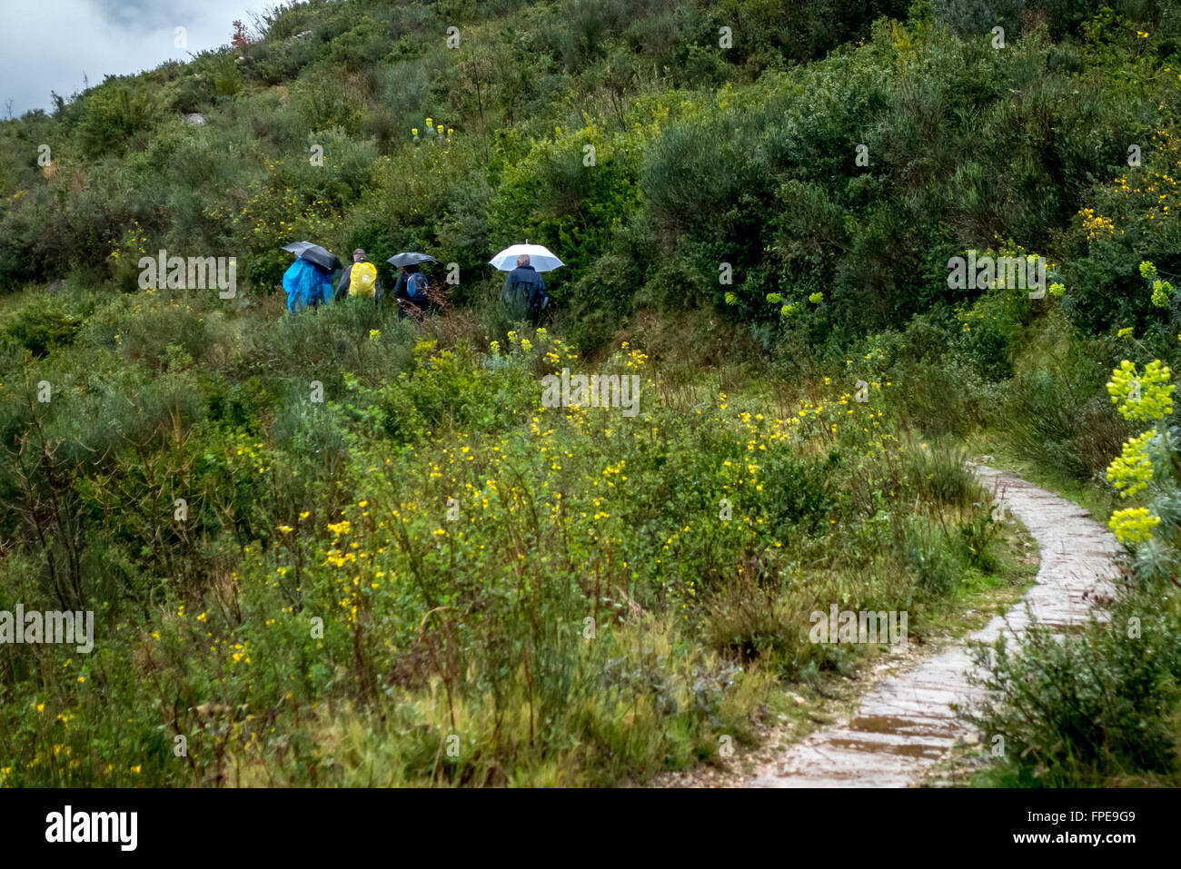 Walkers on a hiking trail in the rain overlooking the Croatian town of Sustjepan, near Dubrovnik. Stock Photo