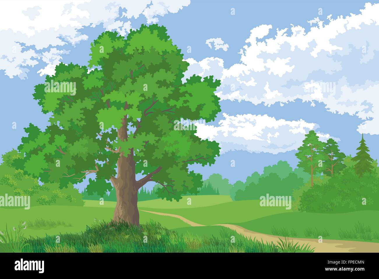 Landscape, Summer Forest and Oak Tree Stock Vector Image & Art - Alamy
