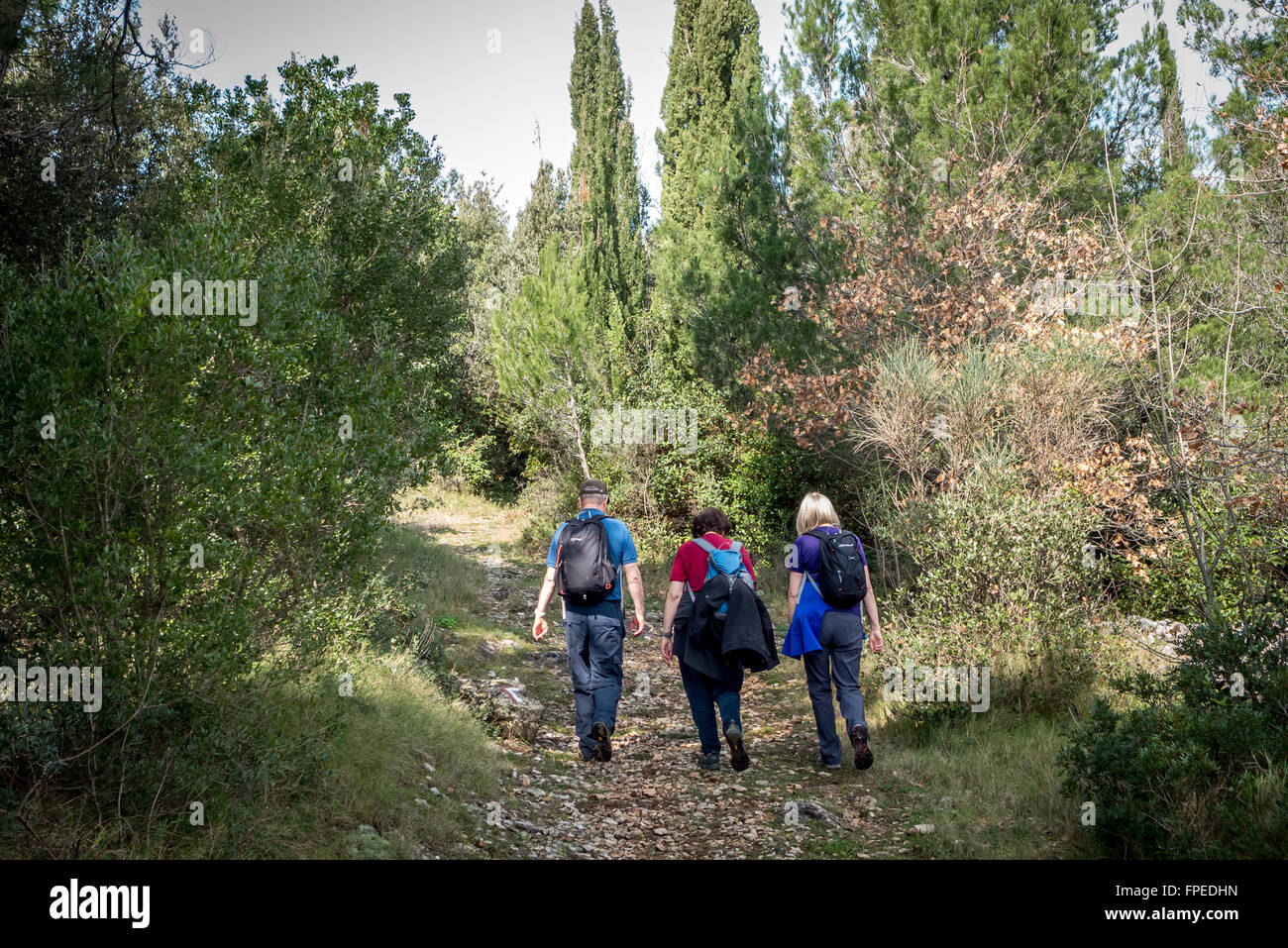 Ramblers walking on the outskirts of Cavtat, near Dubrovnik, Croatia. Stock Photo