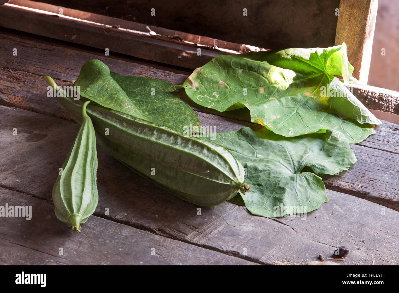 angled gourds fresh on vintage wooden background Stock Photo