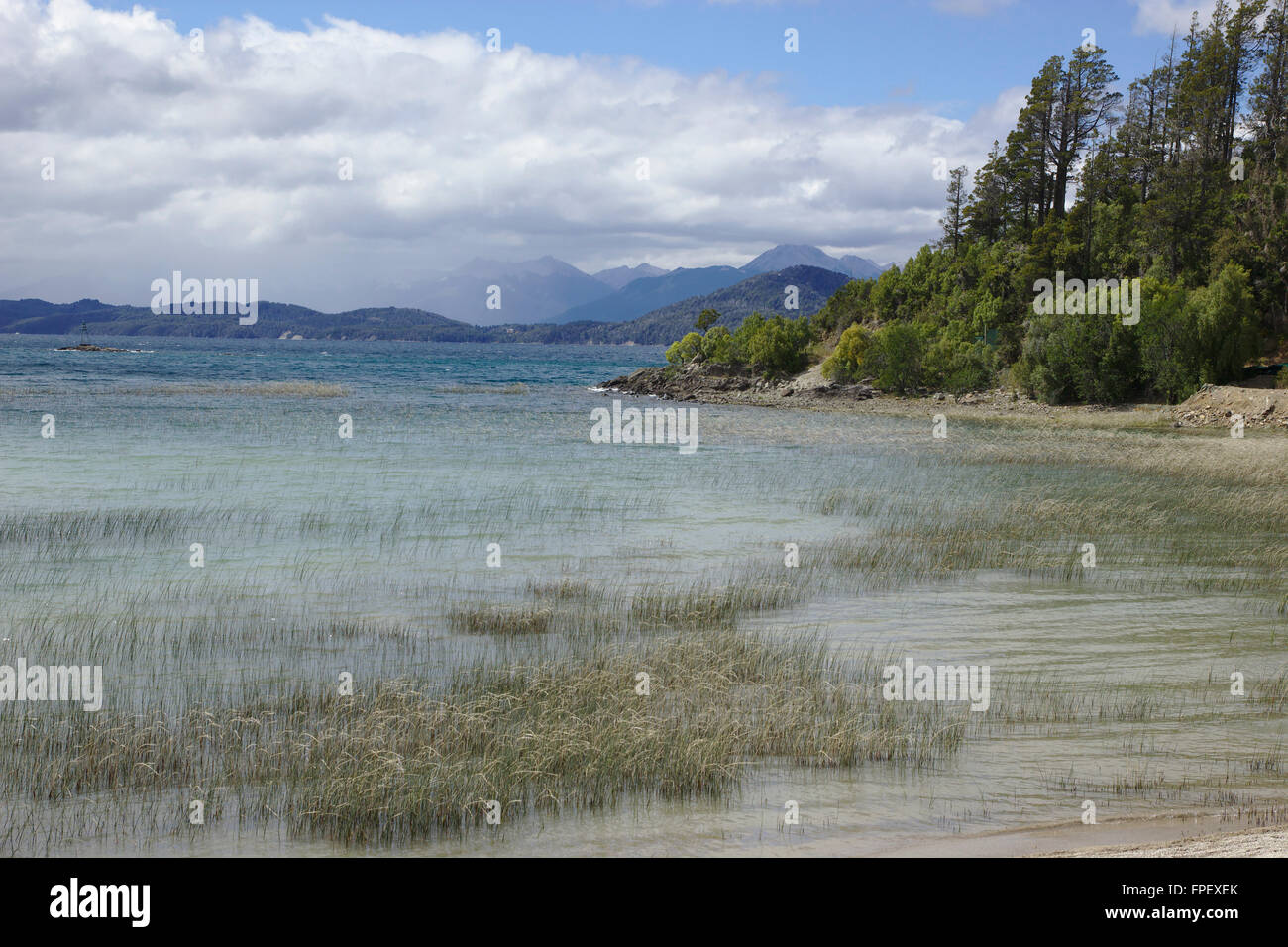 Shore of Lago Nahuel Huapi, near Llao Llao, Parque Municipal Llao Llao near Bariloche, Patagonia, Argentinia Stock Photo