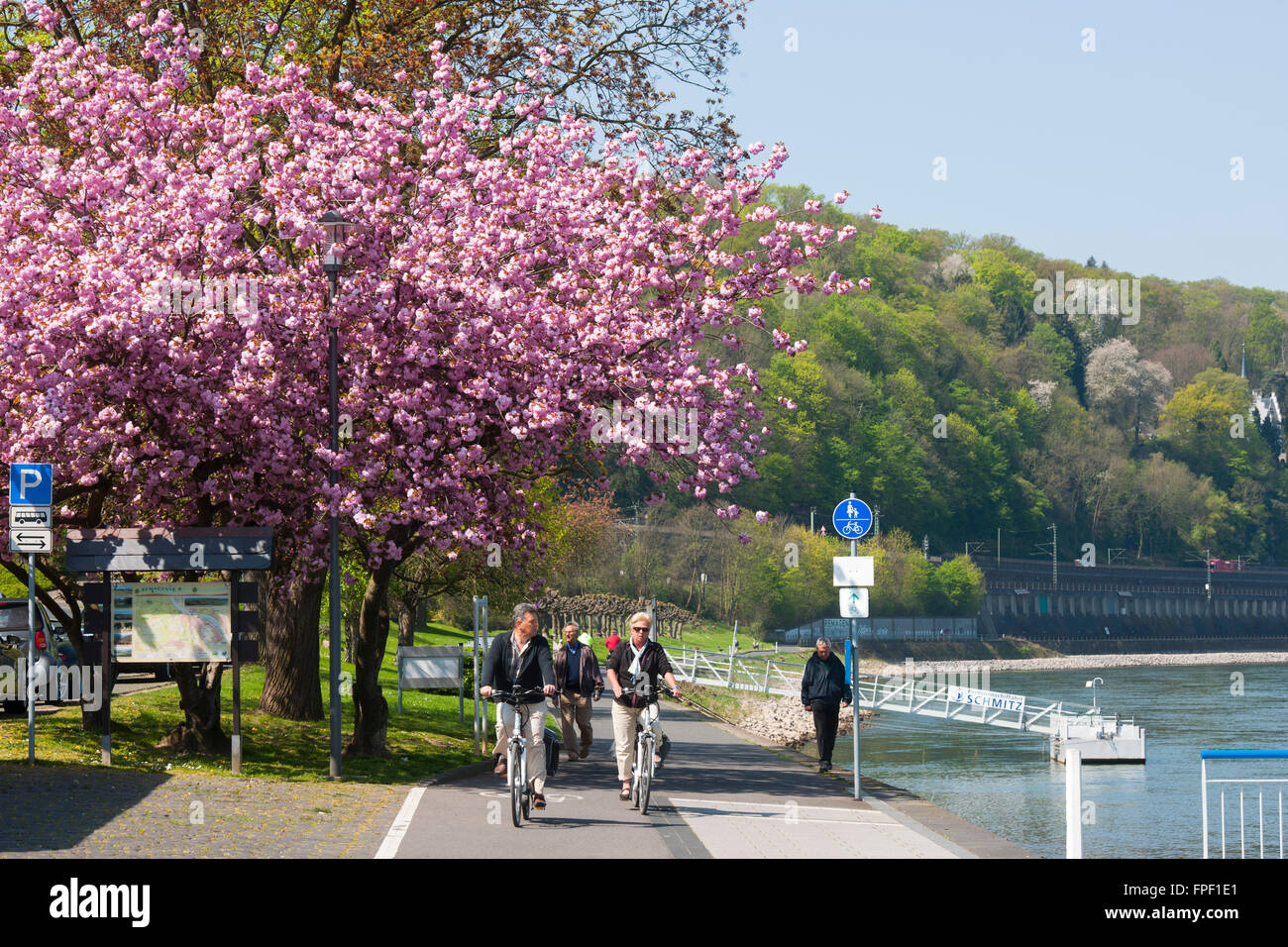 Deutschland, Rheinland-Pfalz, Remagen, Treidelweg stromabwärts der Rheinpromenade Stock Photo