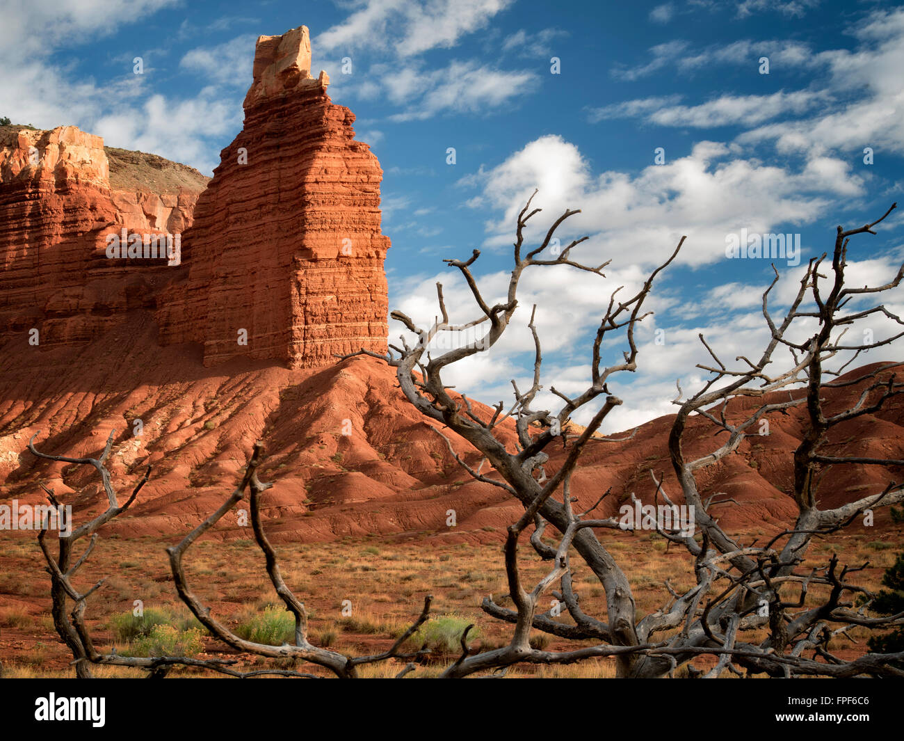 Chimney Rock with dead tree branches  and clouds. Capitol Reef National Park, Utah Stock Photo