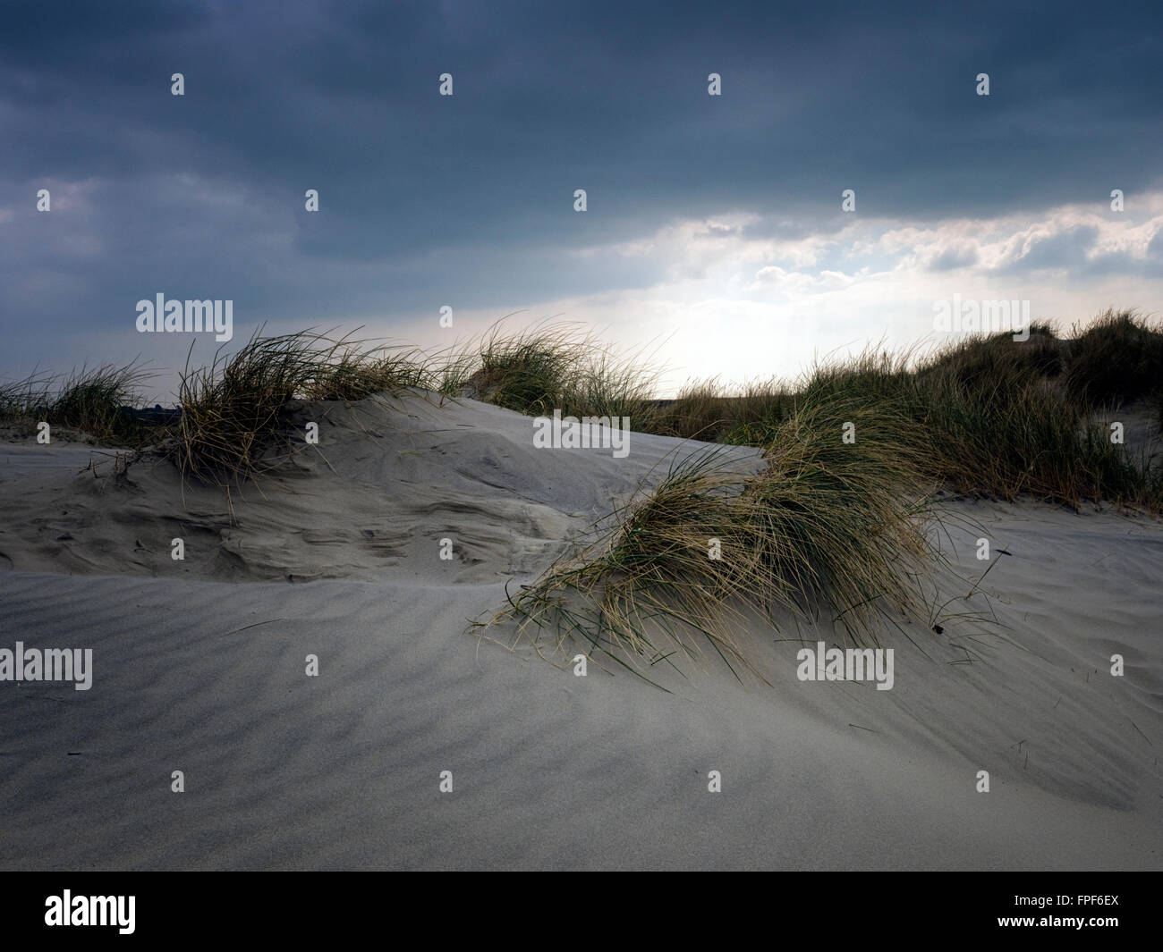 Sand dunes at East Head, West Wittering, West Sussex Stock Photo Alamy