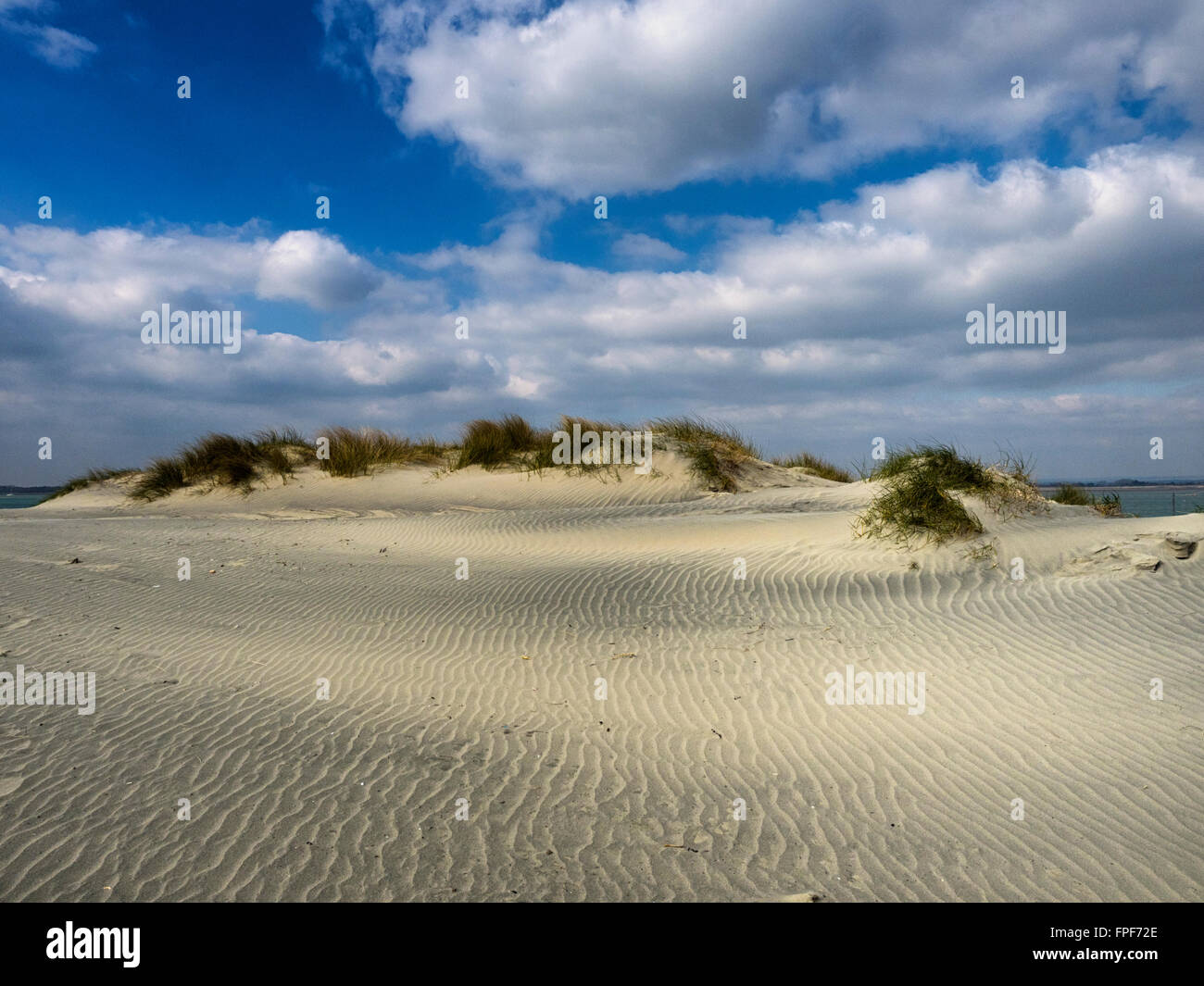Sand dune at East Head, West Wittering, West Sussex Stock Photo Alamy