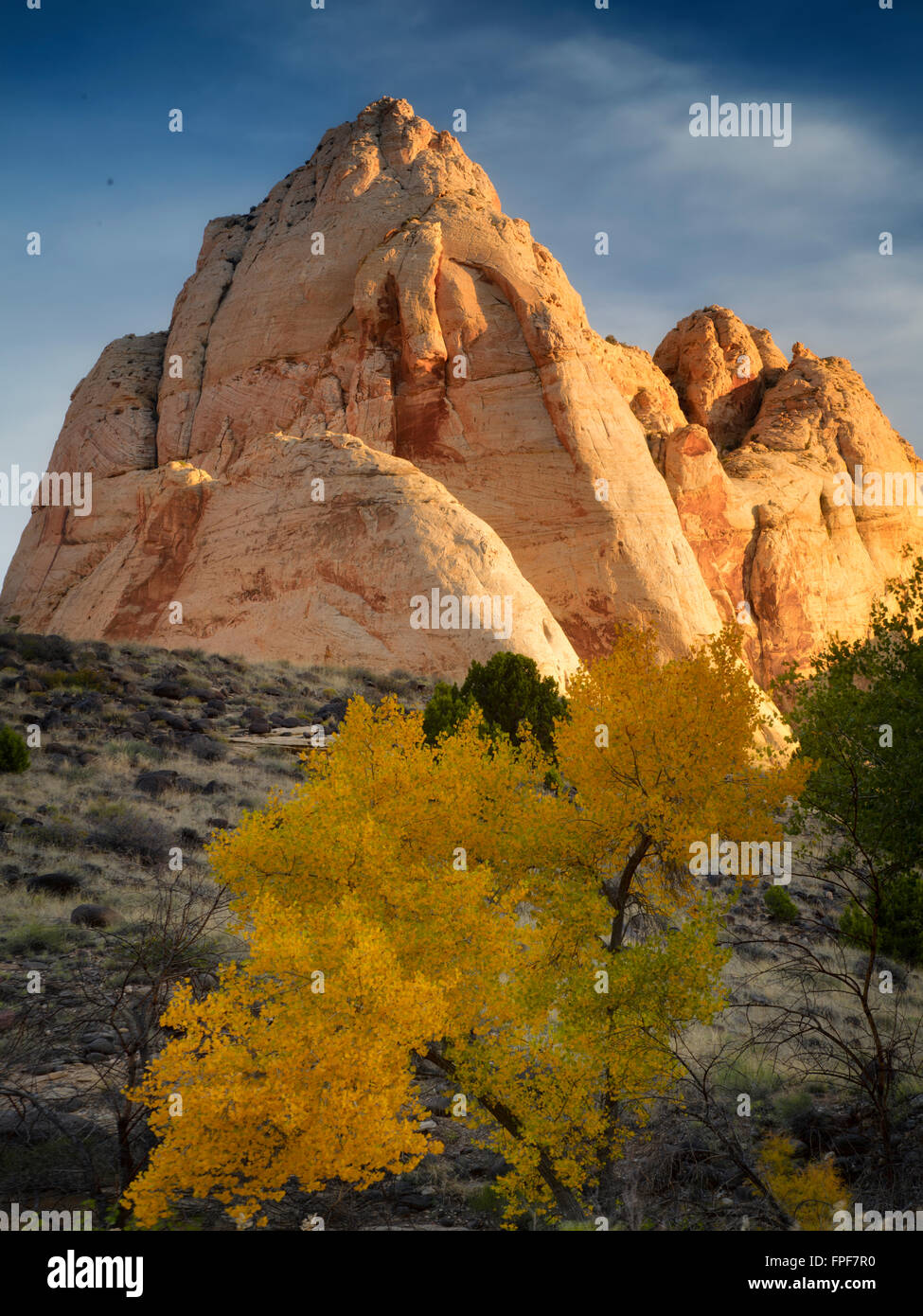 Rock formations and fall color in Capitol Reef National Park, Utah Stock Photo