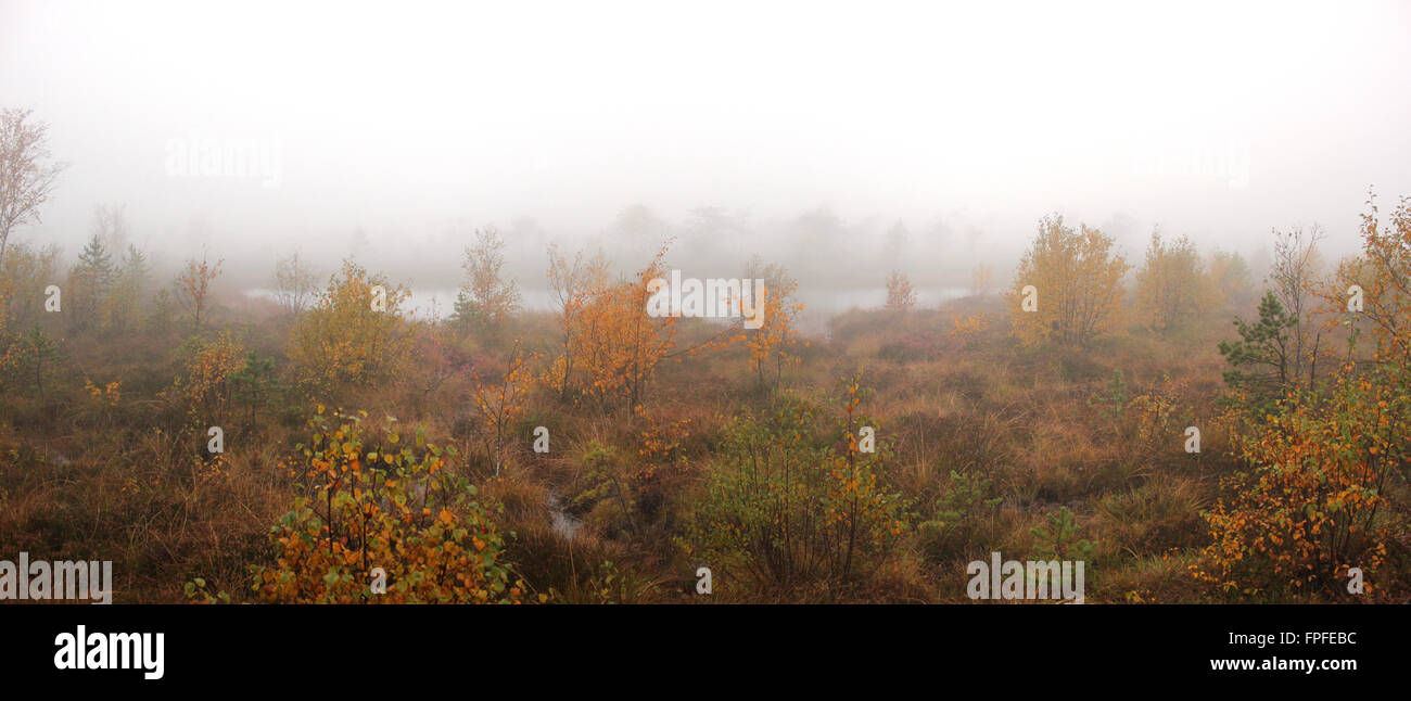 Panoramic view of Schwarzes Moor, Germany, on a foggy autumn day. Stock Photo