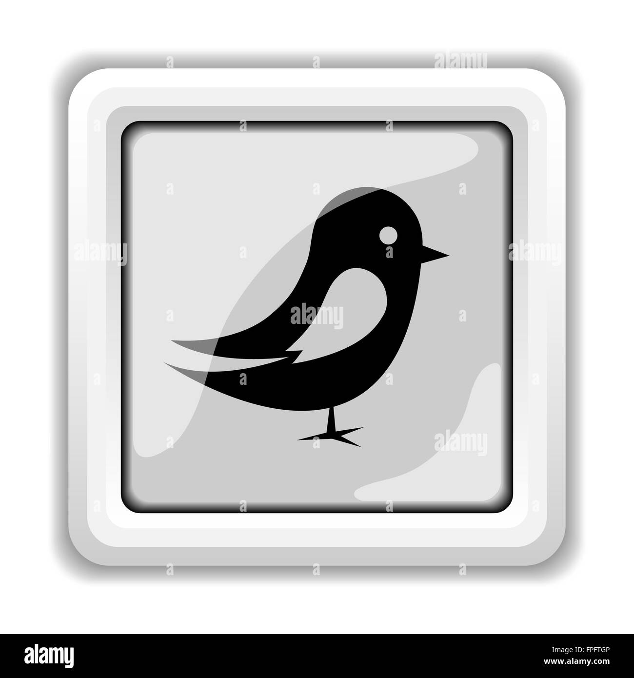 Bird icon. Internet button on white background Stock Photo - Alamy