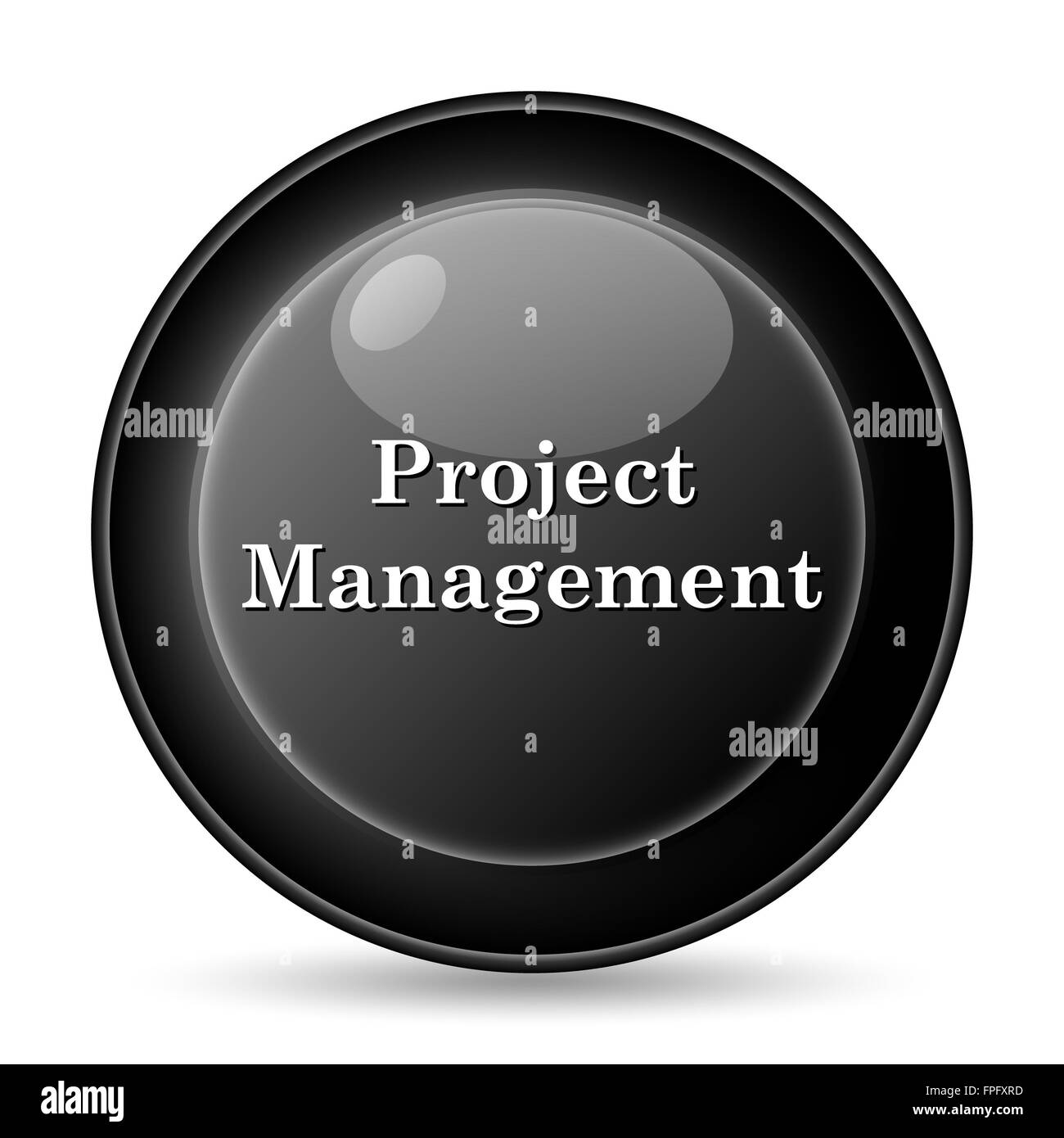 Project management icon. Internet button on white background Stock ...