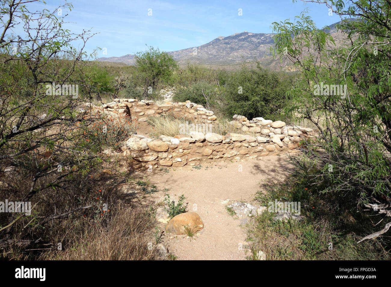 Romero Ruins at Catalina State Park in Tucson, Arizona USA Stock Photo