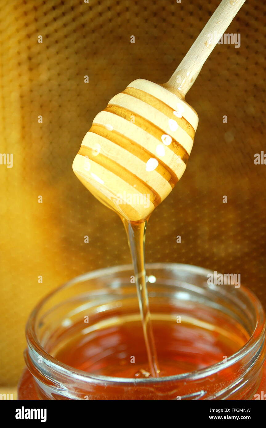 Honey dripping from a wooden honey dipper on honeycomb background Stock Photo