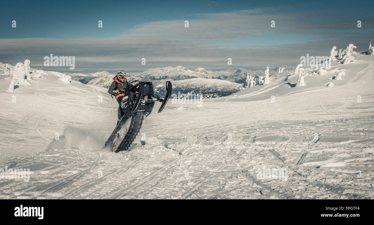 sled wheelie revelstoke Stock Photo Alamy