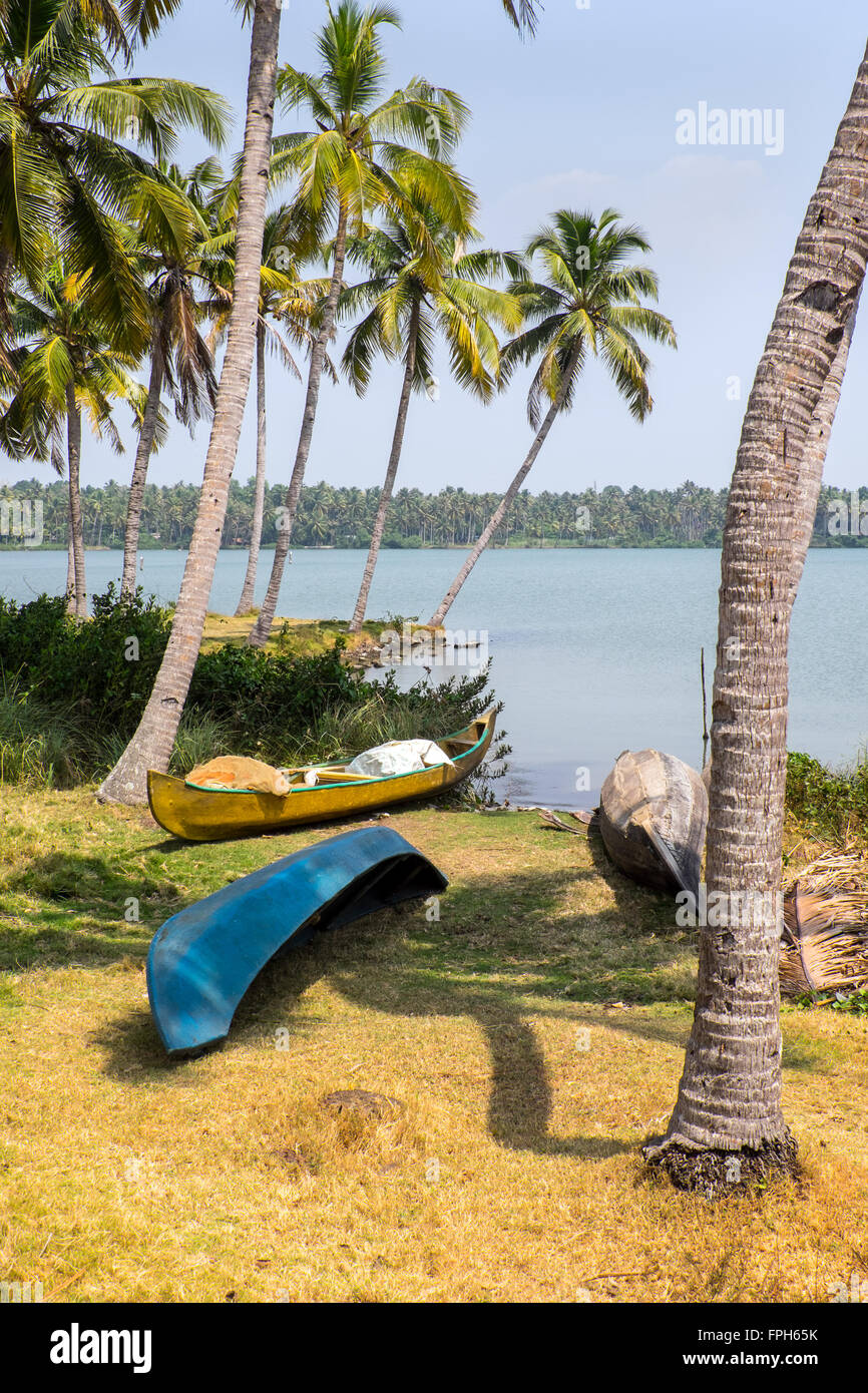 Canoes and palm trees In the backwaters of Kerala, India Stock Photo