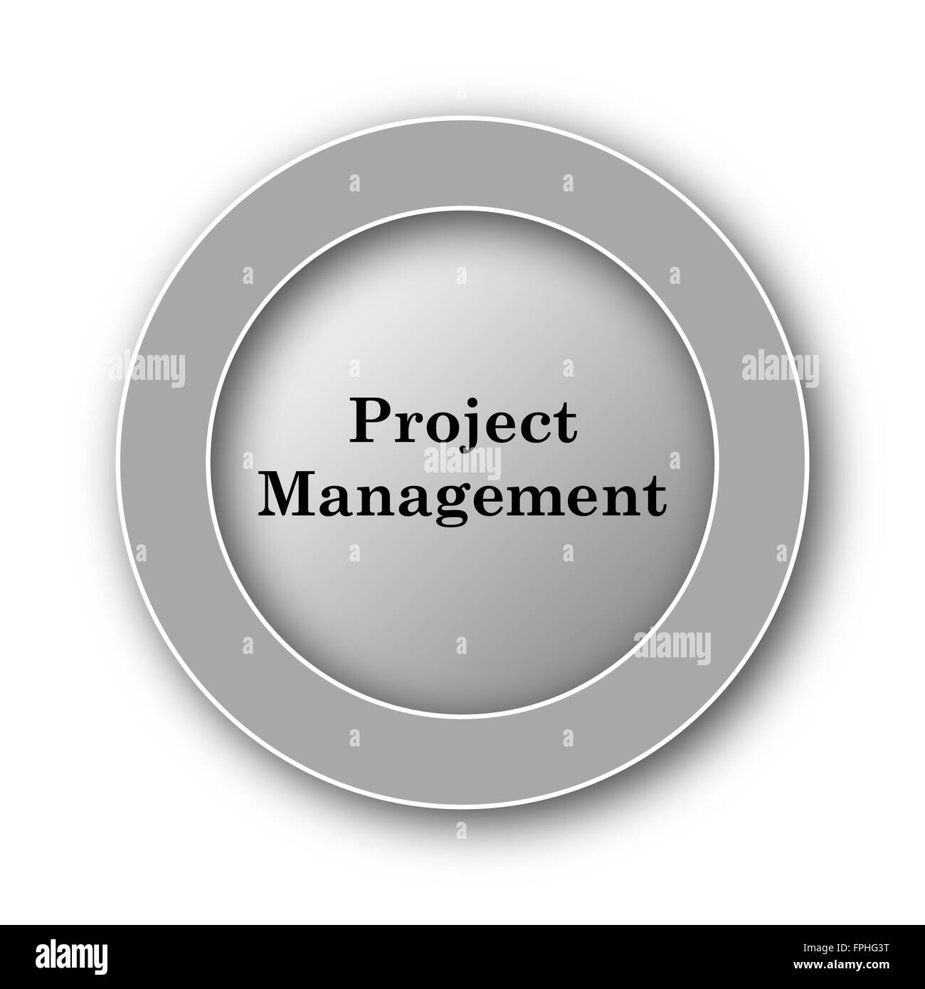 Project management icon. Internet button on white background Stock ...