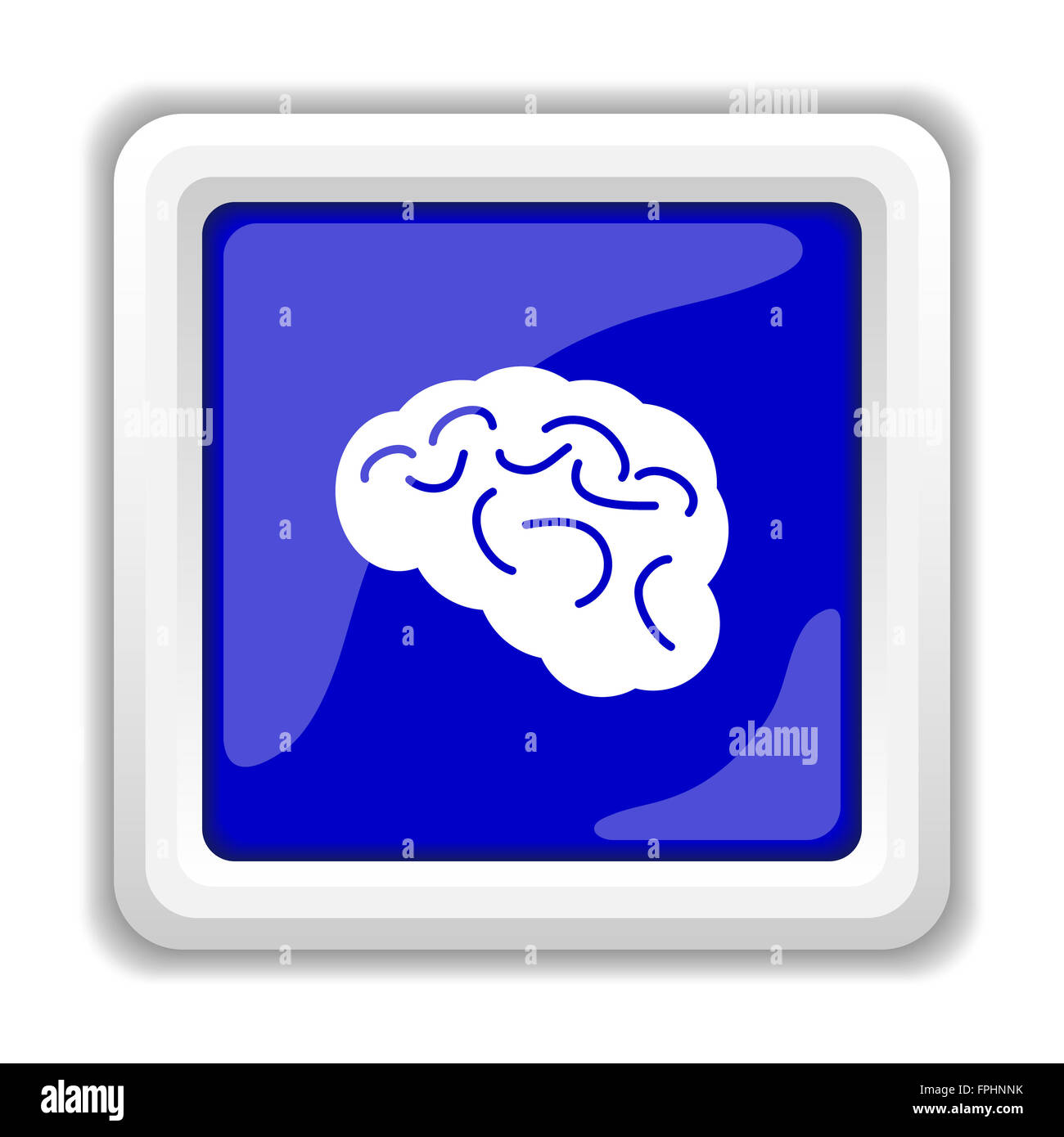 Brain icon. Internet button on white background Stock Photo - Alamy