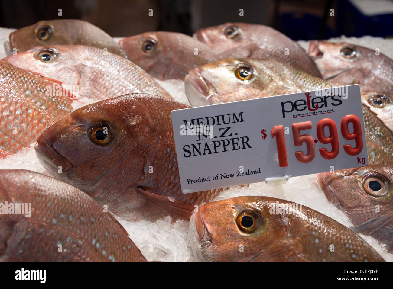 Fresh Snappers on sale at the Sydney Fish Market on Blackwattle Bay in Sydney, New South Wales, Australia. The fish market is Stock Photo