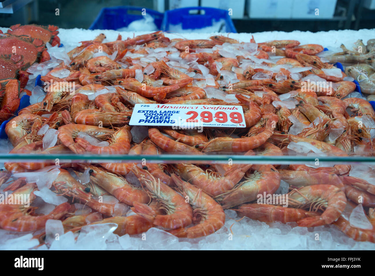 Tiger Prawns on sale at the Sydney Fish Market on Blackwattle Bay in Sydney, New South Wales, Australia. The fish market is the Stock Photo
