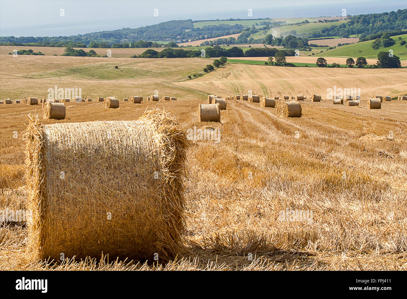 Hay Bales Landscape Scene With Foreground And Distance Hay Bales On Farm Fields In Summer Sun Landscape Format Stock Photo Alamy