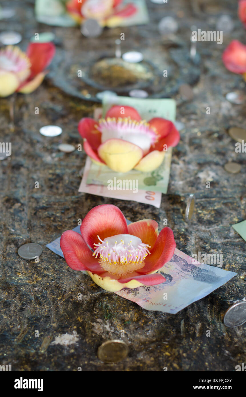 Money worship hires stock photography and images Alamy