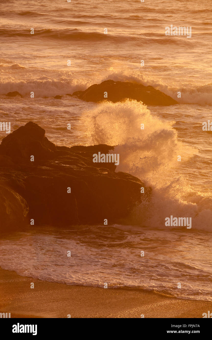 wave crashing into rock,  Moonstone Beach, Cambria, California Stock Photo