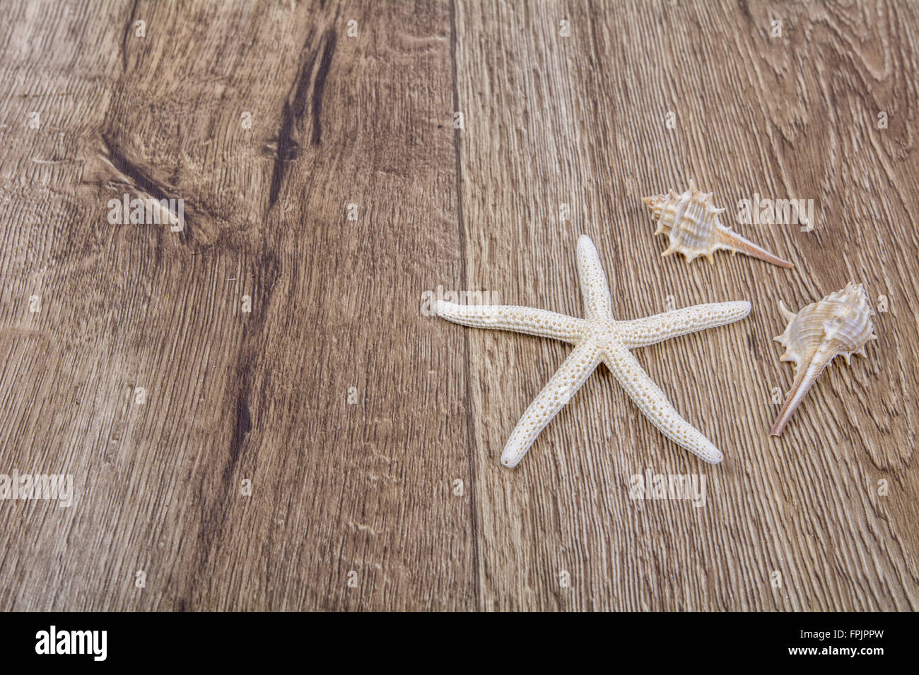 White starfish and shells on a wooden background Stock Photo - Alamy