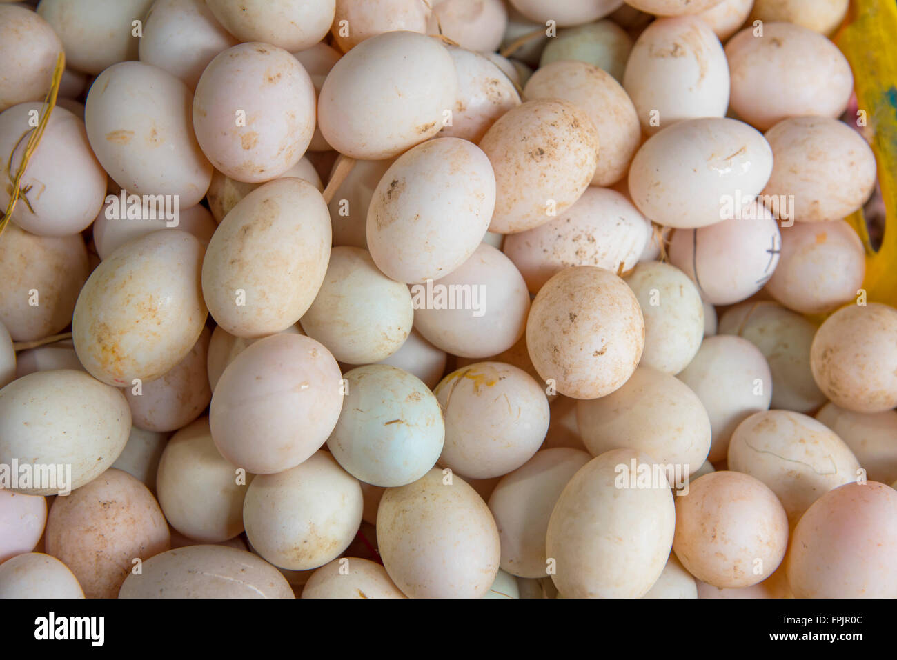 Multicoloured free range duck eggs in Hoi An market, Vietnam.Duck eggs are widely eaten , sometimes with duck embryos inside. Stock Photo